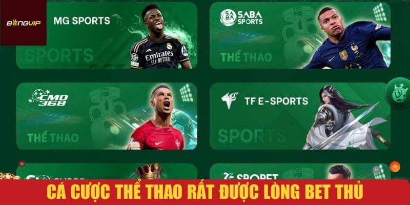 Bongvip - Khám phá sân chơi thể thao cơ hội thắng lớn