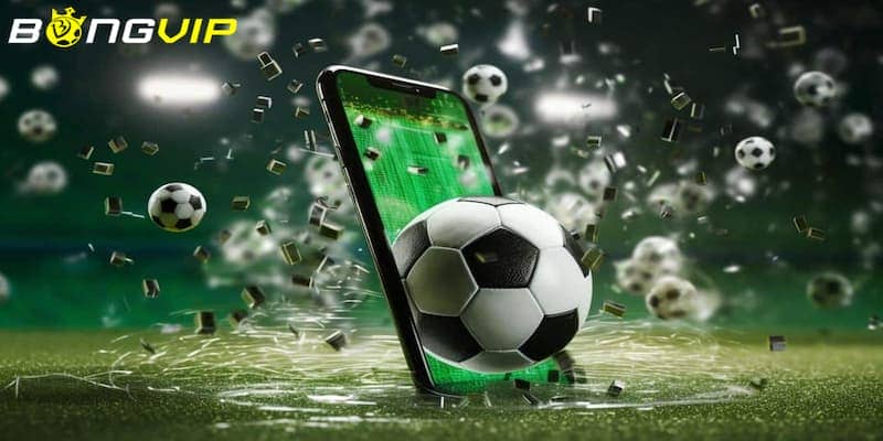 Bóng đá Bongvip - Trang chơi với mức tỷ lệ cược cạnh tranh