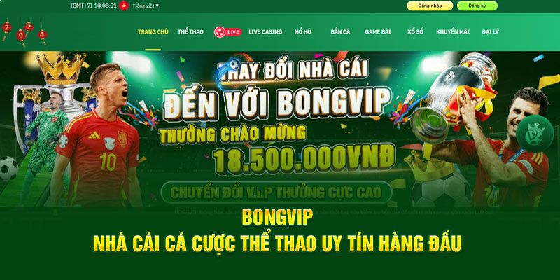 Bongvip - Nền tảng cá cược thể thao hàng đầu thị trường Châu Á