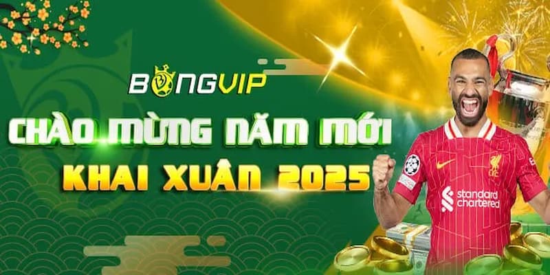 Bongvip - Điểm đến lý tưởng chất lượng hàng đầu tại châu Á
