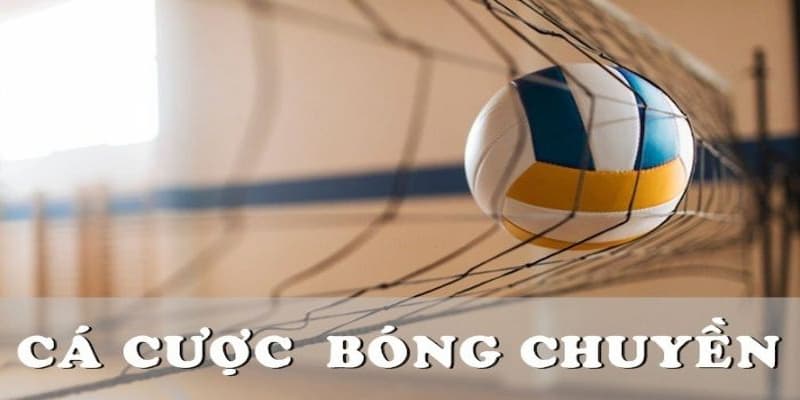Cá Cược Bóng Chuyền Bongvip