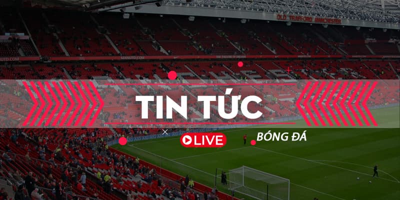 tin tức bongvip